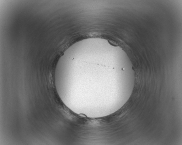 X0000068740523200604281019