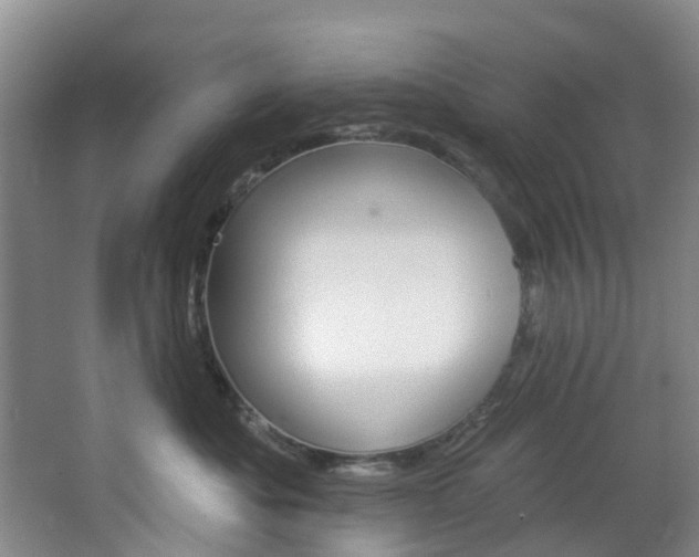 X0000068740525200604281019