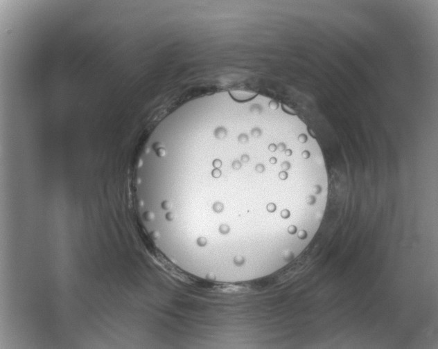 X0000068740527200604281019