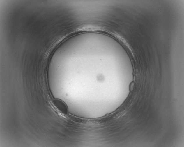 X0000068740529200604281018