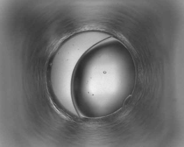 X0000068740530200604281018