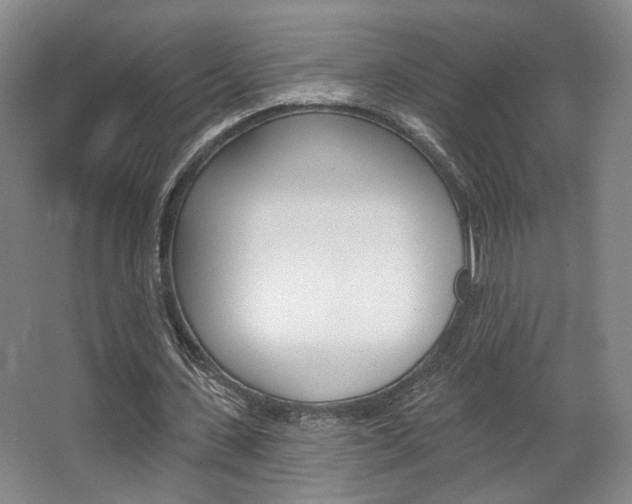 X0000068740531200604281018