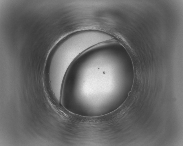 X0000068740532200604281018