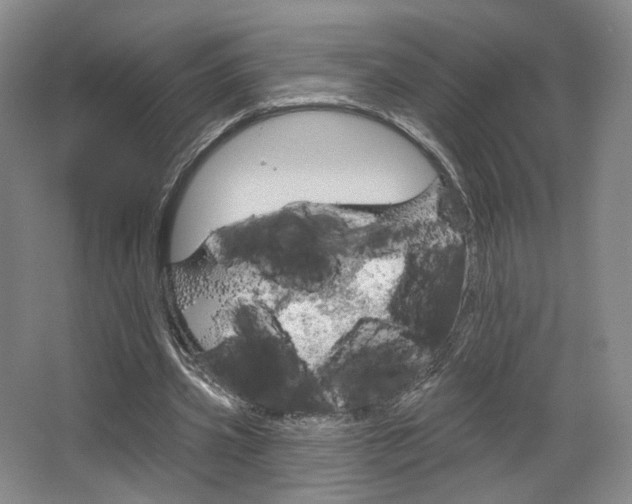 X0000068740533200604281018