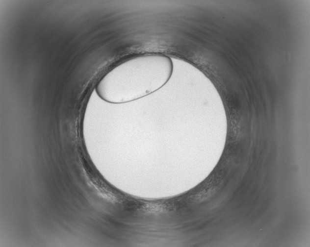 X0000068740534200604281018