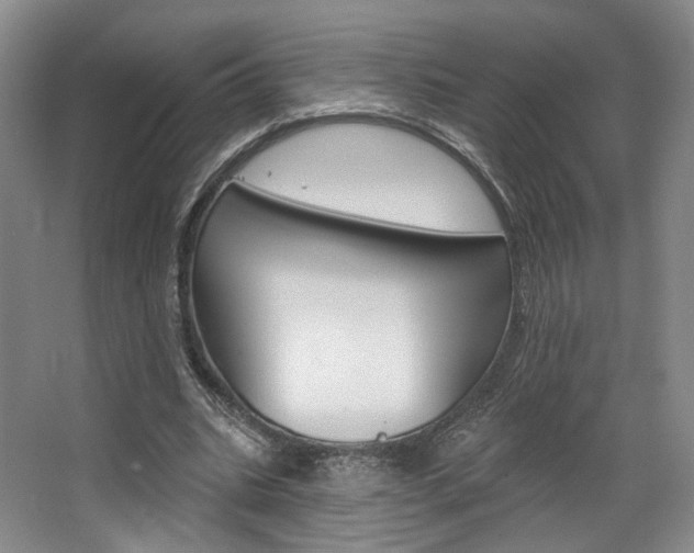 X0000068740535200604281018