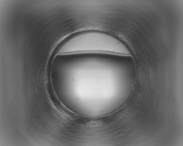 X0000068740536200604281018