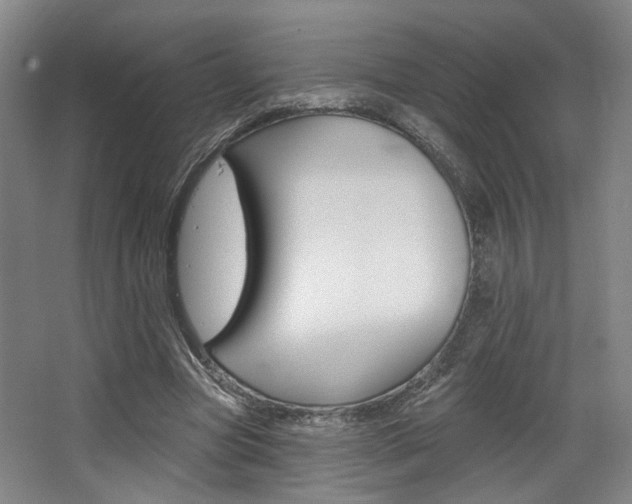 X0000068740537200604281018