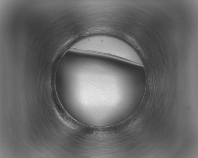 X0000068740538200604281019