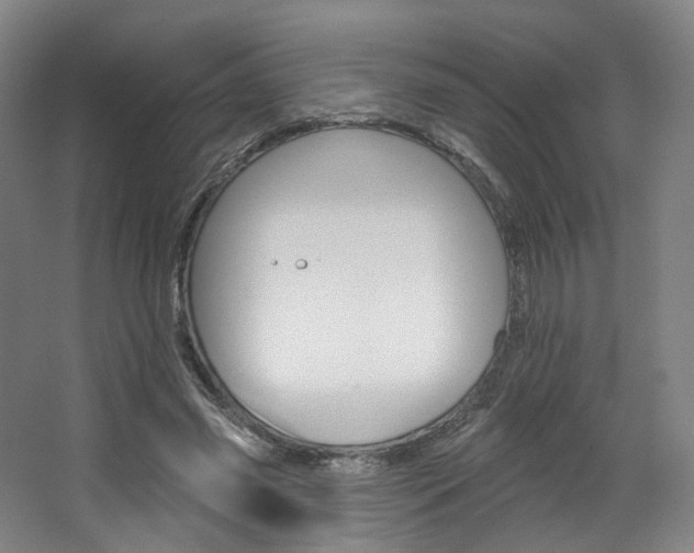 X0000068740541200604281019