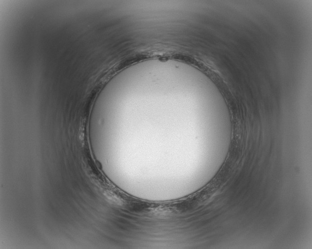 X0000068740545200604281019