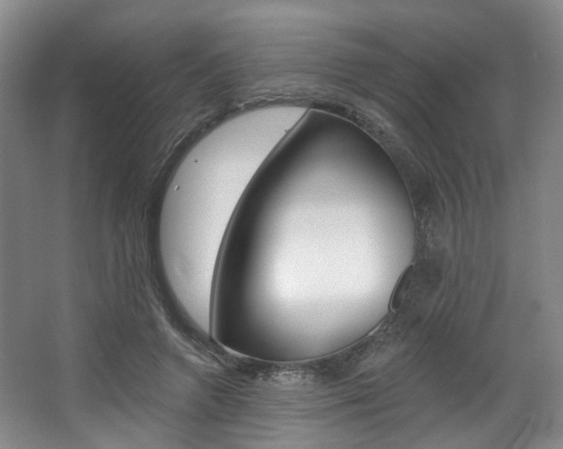 X0000068740546200604281019