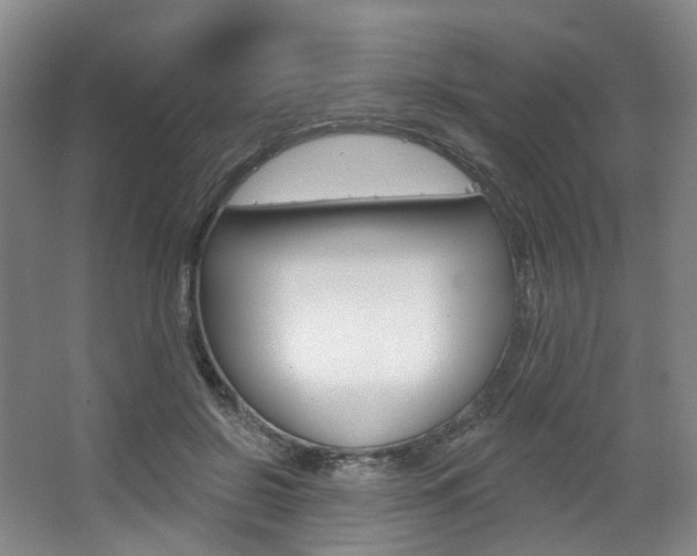 X0000068740550200604281019