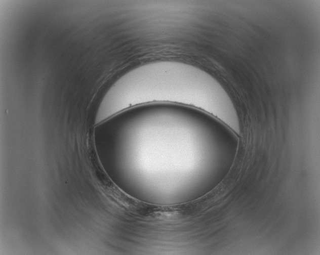 X0000068740552200604281019