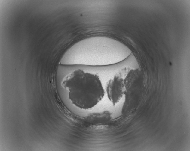 X0000068740553200604281019