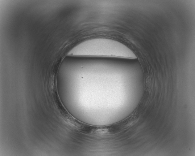 X0000068740554200604281019