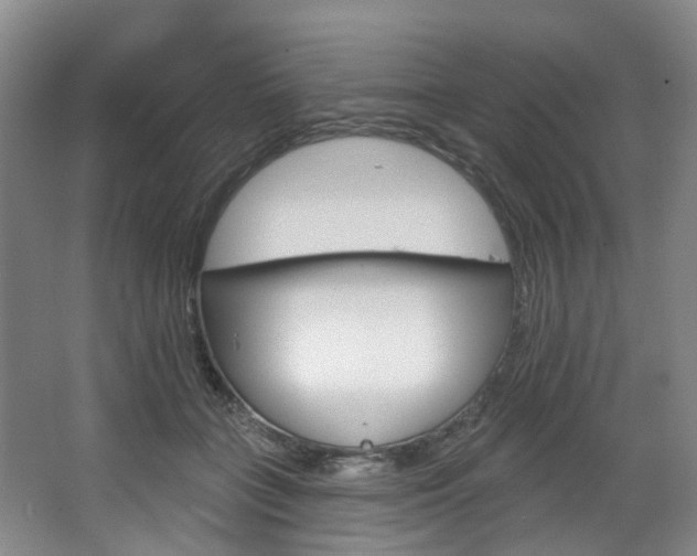 X0000068740555200604281019