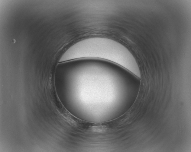 X0000068740556200604281019