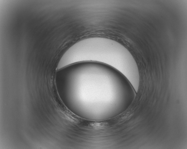 X0000068740558200604281019