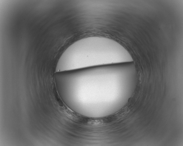 X0000068740559200604281019