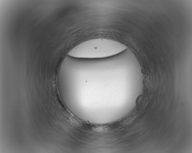 X0000068740561200604281019