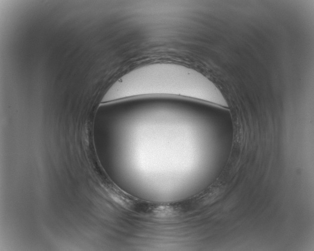 X0000068740562200604281019