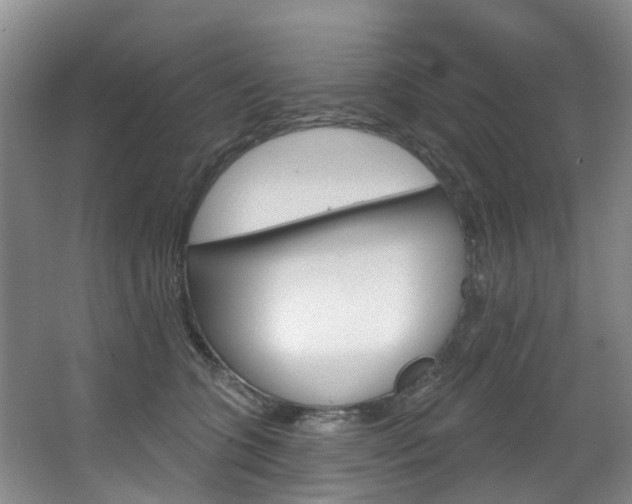 X0000068740563200604281019