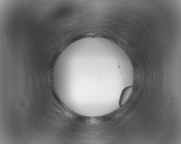 X0000068740565200604281019