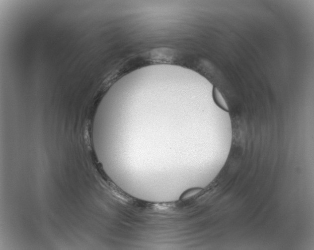 X0000068740573200604281019