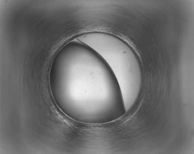 X0000068740577200604281018