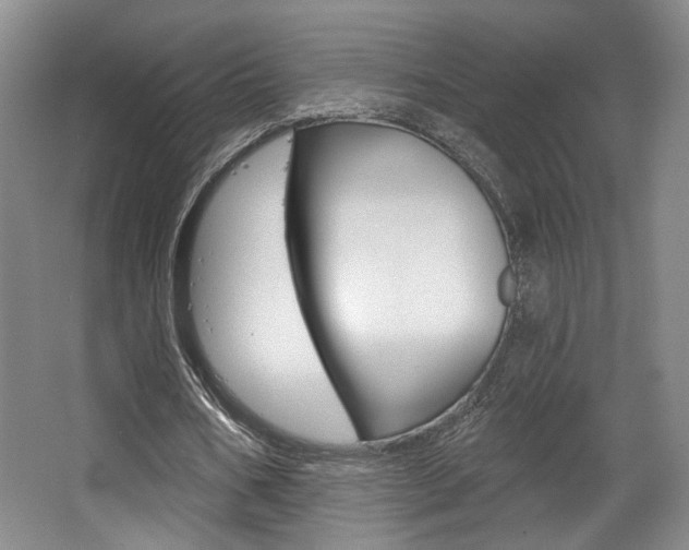 X0000068740578200604281018