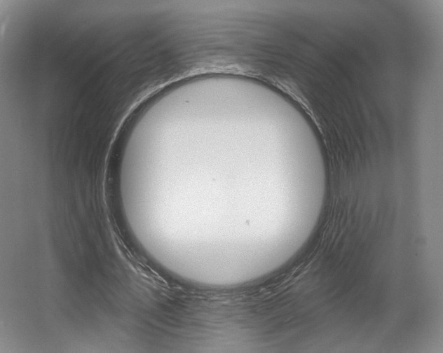 X0000068740579200604281018