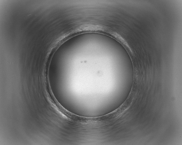 X0000068740581200604281018