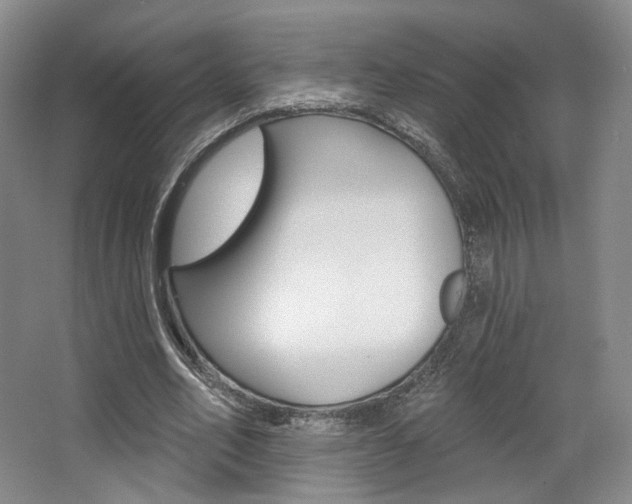 X0000068740582200604281018