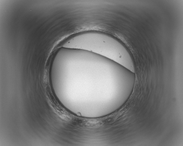 X0000068740583200604281018