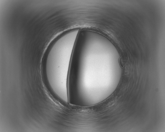 X0000068740584200604281018