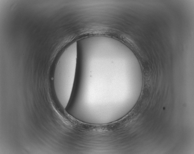 X0000068740586200604281018