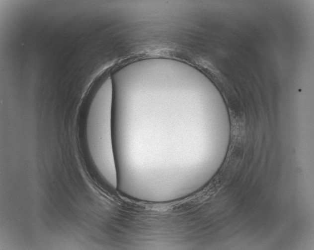 X0000068740587200604281018