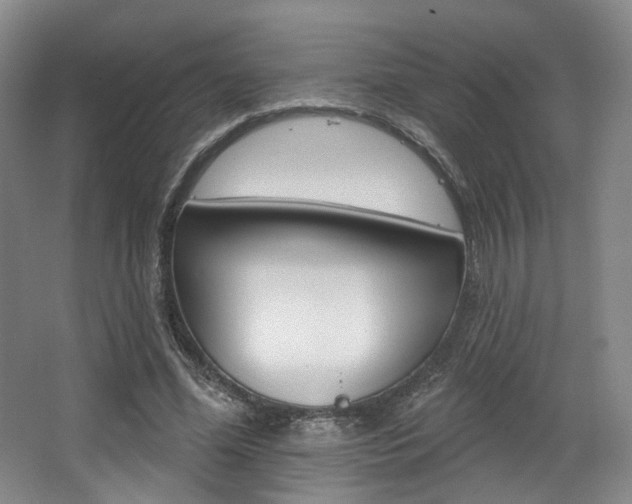 X0000068740588200604281018