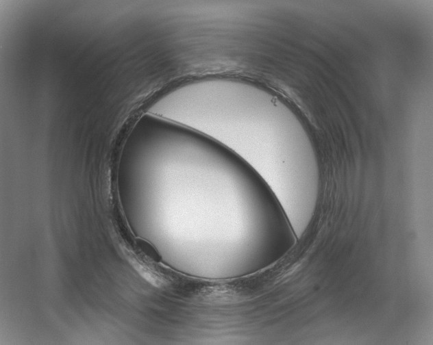 X0000068740589200604281018