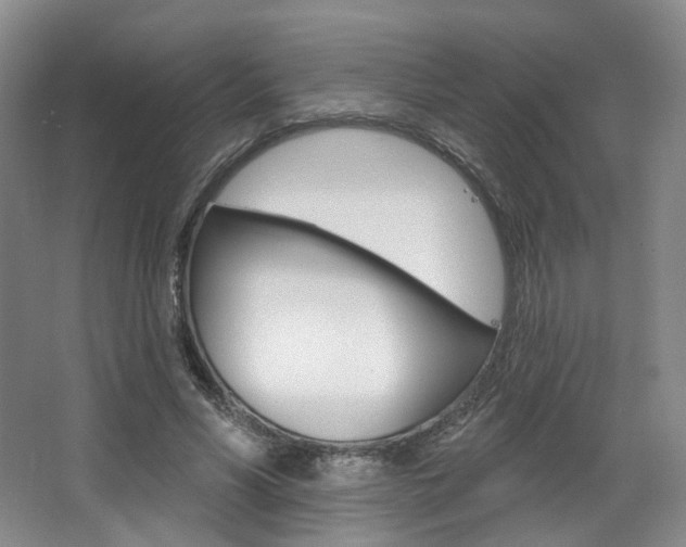 X0000068740590200604281018