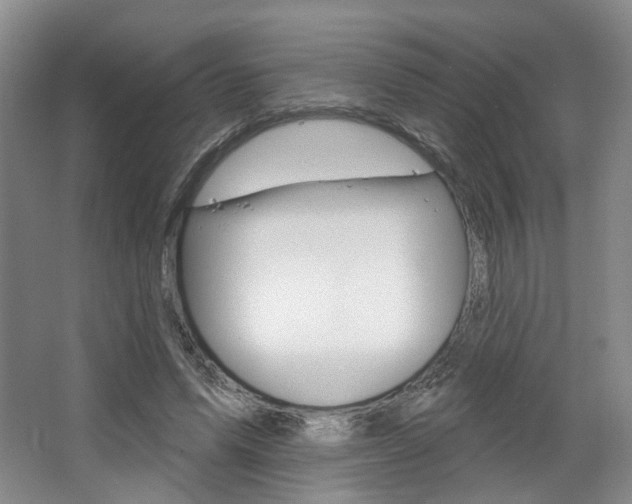 X0000068740591200604281018