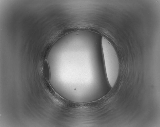 X0000068740593200604281018