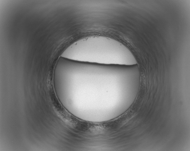 X0000068740594200604281018