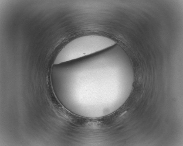 X0000068740595200604281018