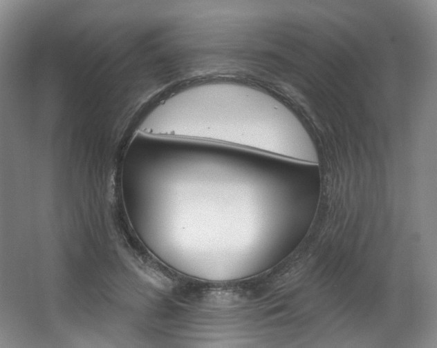 X0000068740596200604281018