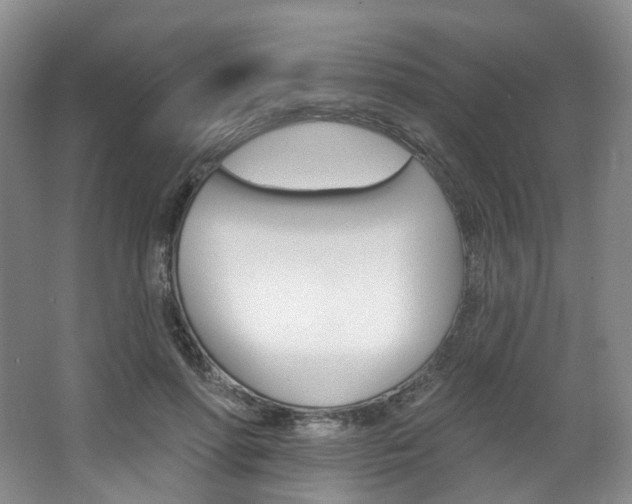 X0000068740598200604281018