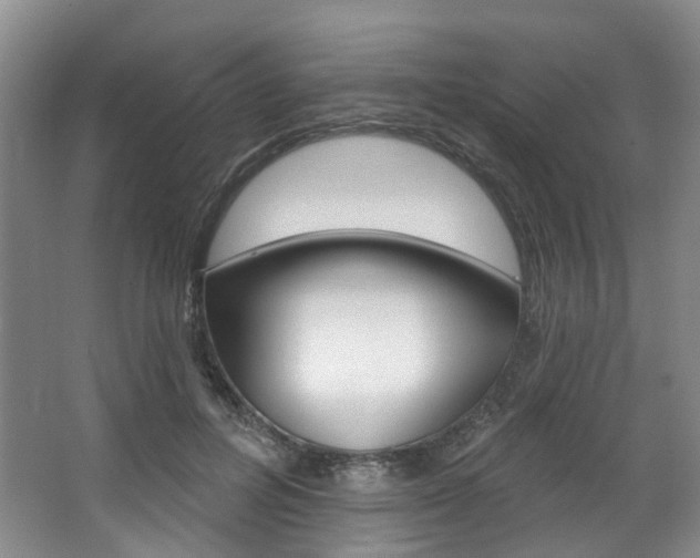 X0000068740600200604281018