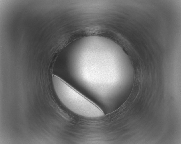 X0000068740601200604281018