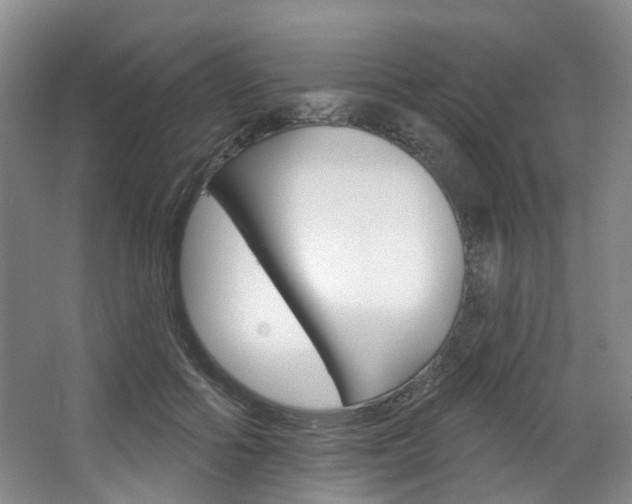 X0000068740602200604281018